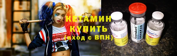 гидра Богородицк
