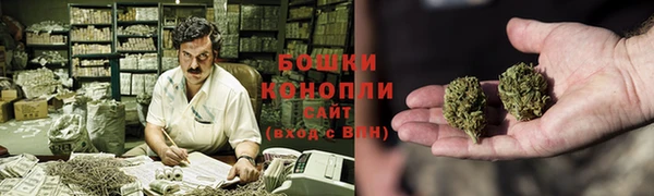 гидропоника Богданович