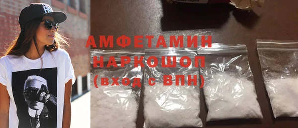 гидра Богородицк