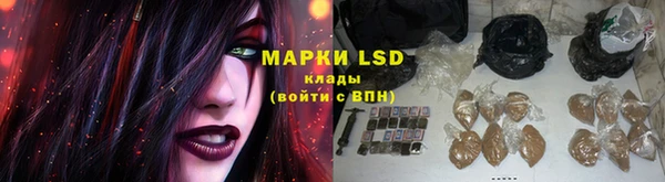 стаф Беломорск