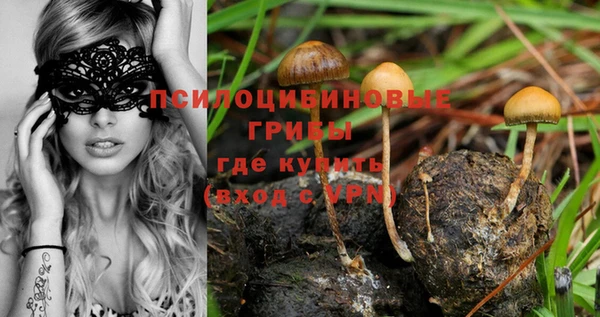 таблы Белоозёрский