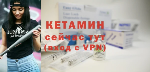 гидра Богородицк