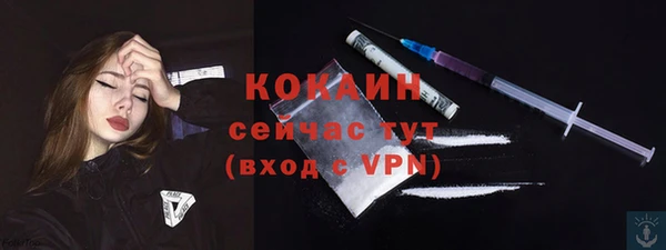 гидра Богородицк