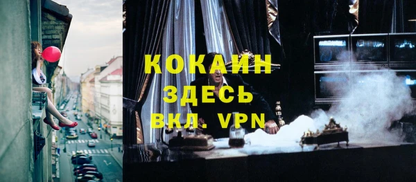 дживик Белокуриха