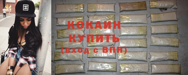 дживик Белокуриха
